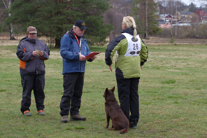 8.5.2010 111c.jpg